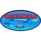 Chapman Auto Stores Logotype