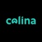 Colina Tech Logotype