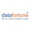 Datafortune Logotype
