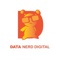 Data Nerd Digital Logotype