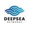 Deepsea Networks Logotype