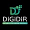 DigiDir- Leading Digital Marketing Agency in Delhi NCR, India Logotype