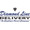 Diamond Line Delivery Systems, Inc Logotype
