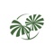 Fairchild Tropical Botanic Garden Logotype