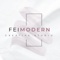 FeiModern Inc. Logotype