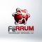 Ferrum Technology Services, LLC Logotype