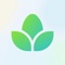 Flora Logotype