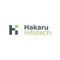 Hakaru Infotech Logotype