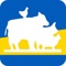 Herdwatch Logotype