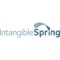 IntangibleSpring Logotype