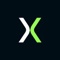 Intelexity Systems Global Logotype