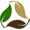 Triline LLC Logotype