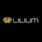 Lilium Software Solutions Logotype