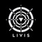 LIVIS Logotype