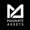 Magnate Assets Logotype
