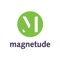 Magnetude Consulting Logotype