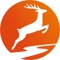 Marion Hirschbach 360° Mentoring & Training Logotype