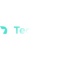 Techvibes Logotype