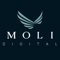 MOLI Digital Logotype