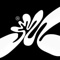 Moshn Studios Logotype