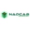 NAYGON TECHNOLOGIES Logotype