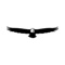OlyTac Logotype
