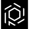 Perpetum Outstaffing Logotype