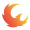 Phoenix Semiconductor Corporation Logotype