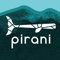 Pirani Life Logotype