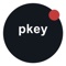 Pkey.Info Logotype