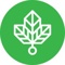 Podroom Creative Logotype