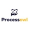 ProcessOwl Logotype