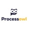 ProcessOwl Logotype