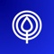 Raintree Systems Logotype