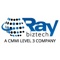 Ray Business Technologies (A CMMI Level 3 Company) Logotype