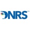 The Dynamic Neural Retraining System (DNRS) Logotype
