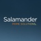 Salamander Prime Solutions. Logotype