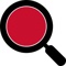 Server Audit Logotype