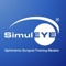 SimulEYE Logotype
