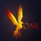 SOAR Consultants Inc. Logotype