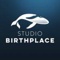 Studio Birthplace Logotype