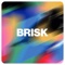 STUDIO BRISK Logotype