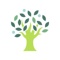 Sycamore Education Logotype