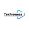 TekProwess LLP Logotype