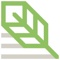 Thicket.com Logotype