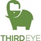 ThirdEye's Data Engineering Services Logotype