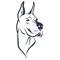 TopDawg - A Dropshipping Platform for Retailers and Wholesale Suppliers Logotype