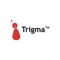 Trigma Logotype