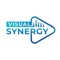 VISUAL SYNERGY PVT LTD Logotype