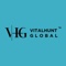 Vitalhunt Global Solutions Private Limited Logotype